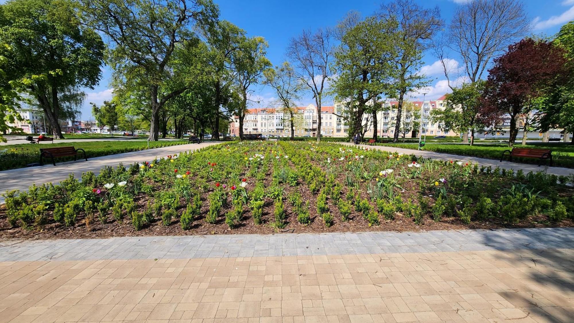Apartament Garncarska Elbląg Eksteriør billede